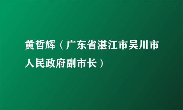 黄哲辉（广东省湛江市吴川市人民政府副市长）