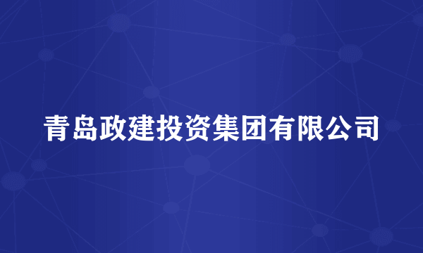 青岛政建投资集团有限公司