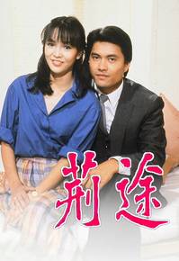荆途（1982年香港TVB电视剧）