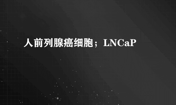 人前列腺癌细胞;LNCaP