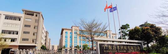 广东岩羊照明有限公司