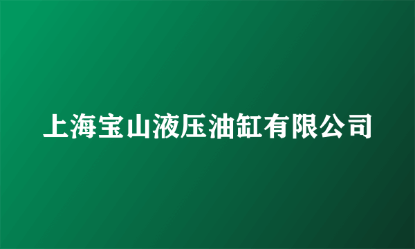上海宝山液压油缸有限公司