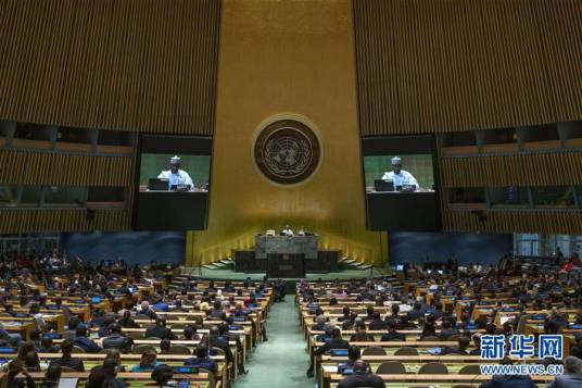 第74届联合国大会