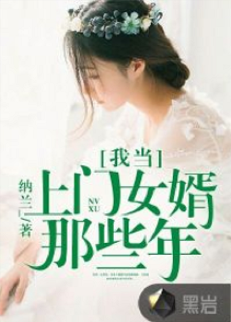 我当上门女婿那些年(纳兰_创作的社会类网络小说)