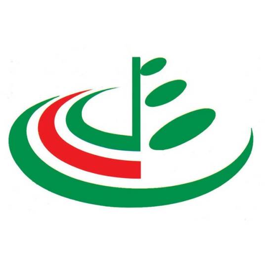 中国青少年研究会