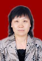 曹丽（贵州盘县人民政府副县长）