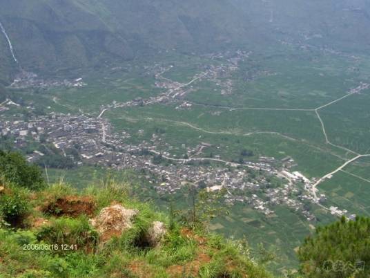 大树镇(四川省达州市达川区下辖镇)