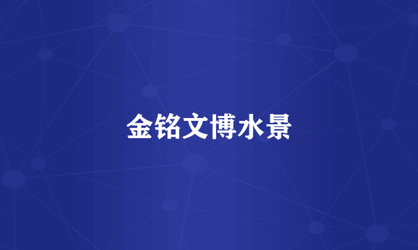 金铭文博水景