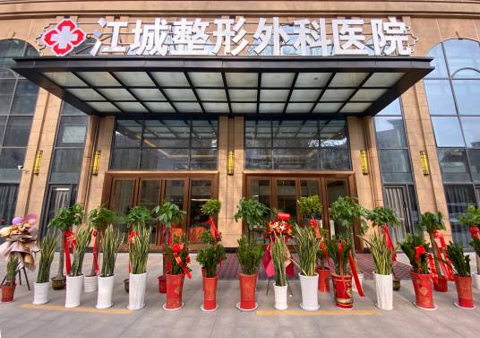 武汉江城整形外科医院有限公司