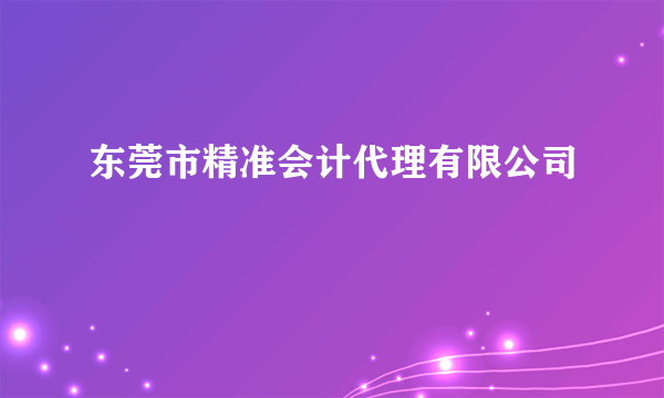 东莞市精准会计代理有限公司