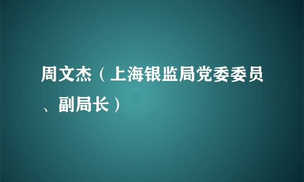 周文杰（上海银监局党委委员、副局长）
