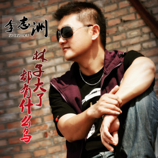 林子大了什么鸟都有(李志洲演唱的歌曲)