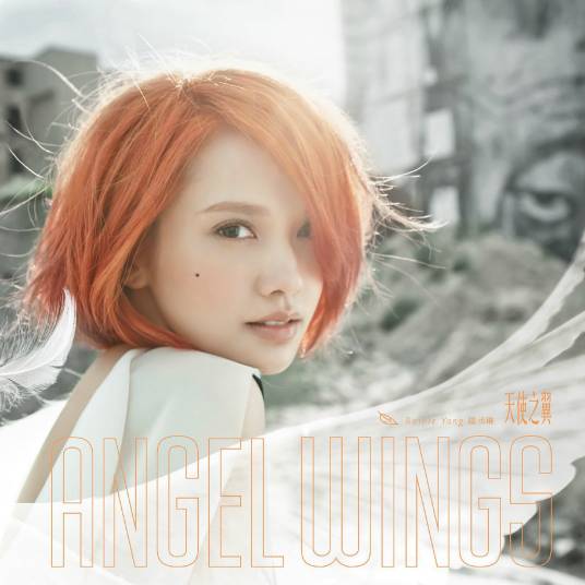 天使之翼(2013年杨丞琳演唱的歌曲)