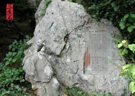 三生石(泥质石灰岩)