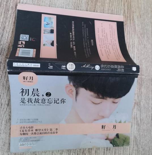 初晨,是我故意忘记你·2