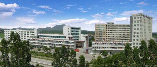 高州市金山实验中学