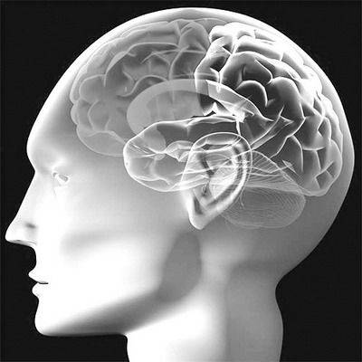 脑海(1989年潘祖奇执导的科教电影)