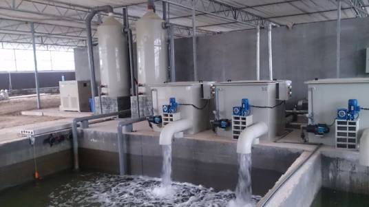 循环水养殖系统