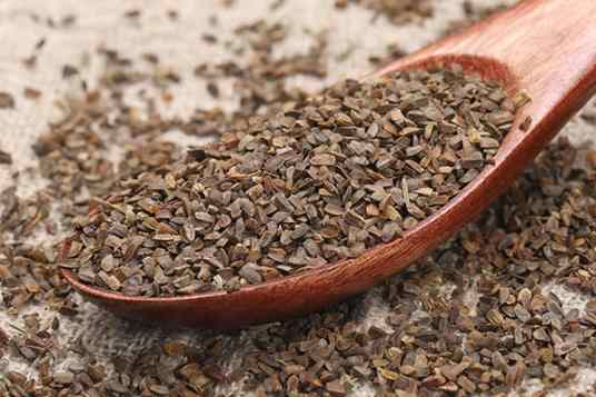 茺蔚子（中药）