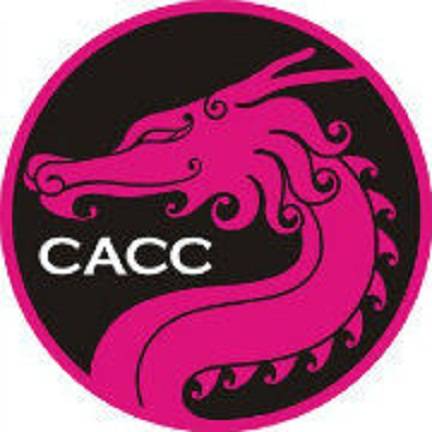 中国动漫金龙奖