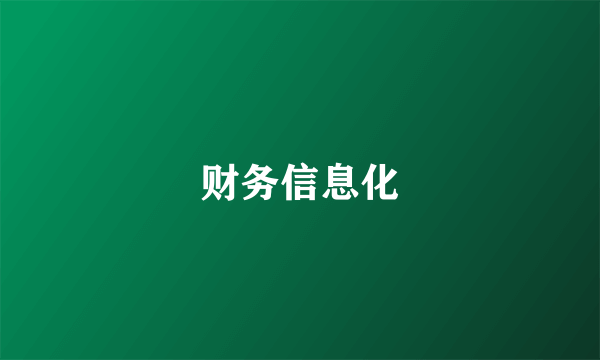 财务信息化