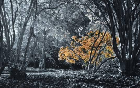 孟冬（冬季的第一个月）