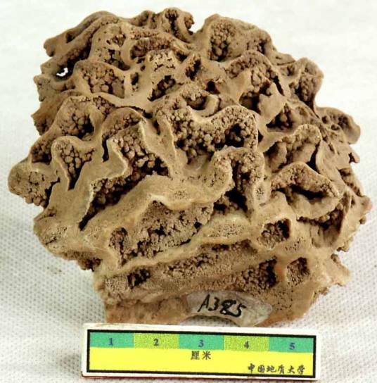 石灰华(中药材)