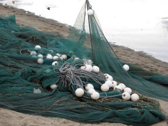 渔具（捕鱼工具总称）