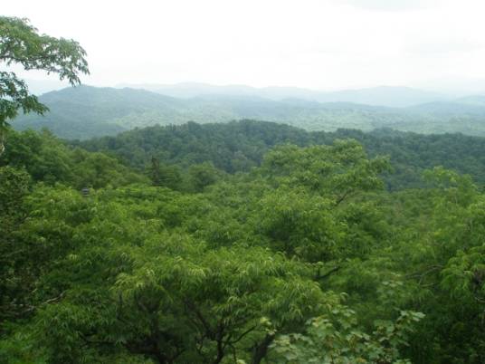 美丽的小兴安岭