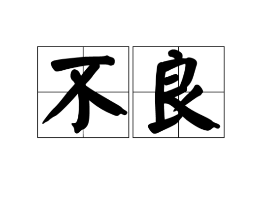 不良（汉语词汇）