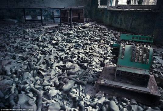 切尔诺贝利巨鼠