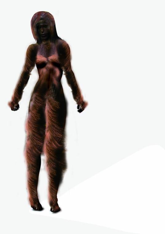 神农架野人(神农架一带的野人)