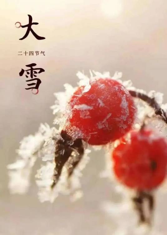 大雪（二十四节气之一）