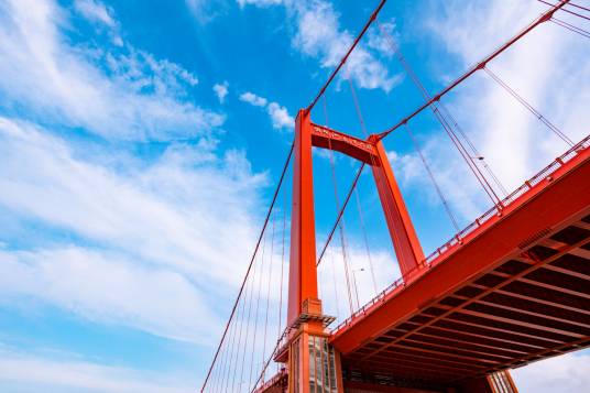 鹦鹉洲长江大桥