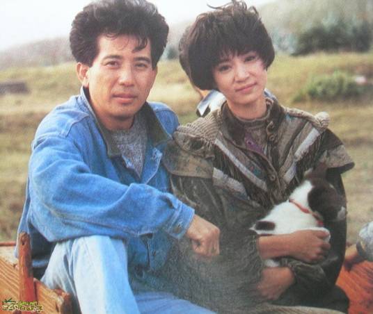 海鸥飞处彩云飞(1989年秦汉刘雪华主演琼瑶剧)