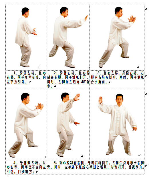 白鹤亮翅（太极招式）