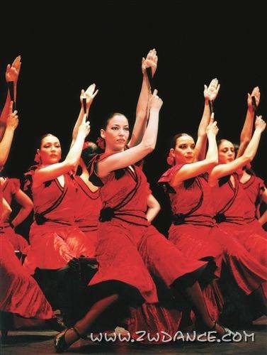 弗拉明戈(源于吉普赛文化的一种舞蹈)