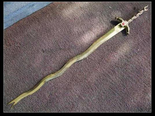 金蛇剑（金庸小说《碧血剑》中的兵器）