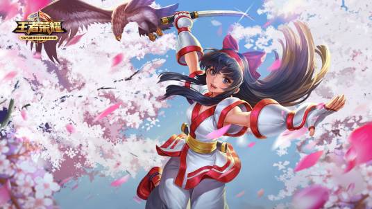 娜可露露(手游《王者荣耀》中的英雄角色)