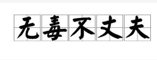 无毒不丈夫（词语）