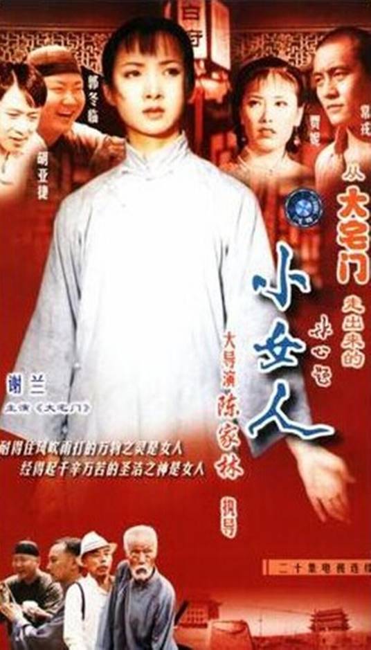 小女人（1997年陈家林执导的电视剧）