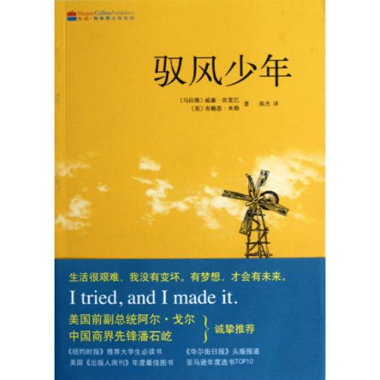 驭风少年（2012年南海出版公司出版的图书）