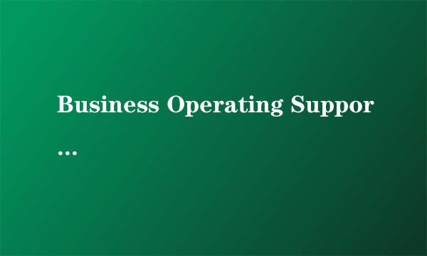 Business Operating Support System(BOSS)