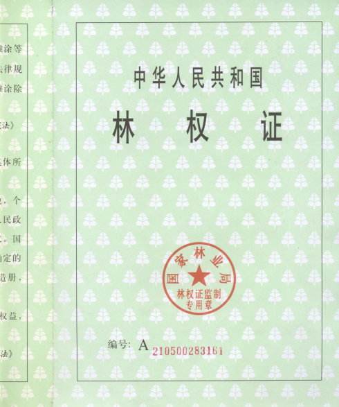 林权（森林、林木和林地的所有权和使用权）