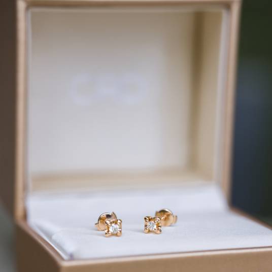 耳坠（耳饰的一种）