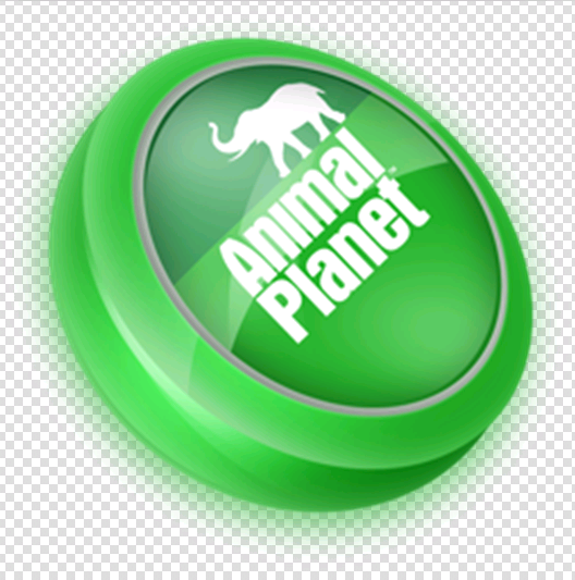 动物星球（Michael Hacking执导电影）