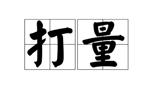 打量（汉语词语）