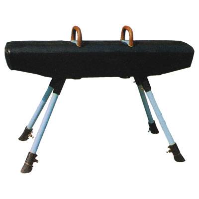 鞍马（男子竞技体操项目之一）