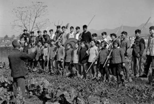 生产队（中国社会主义农业经济组织形式）