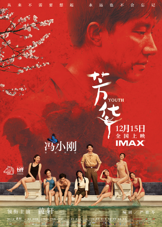 芳华（2017年冯小刚执导的战争剧情电影）